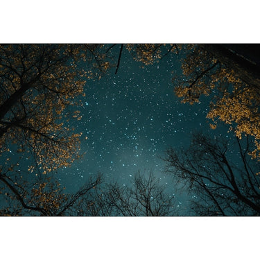 Tableau de Peinture Ciel Étoilé